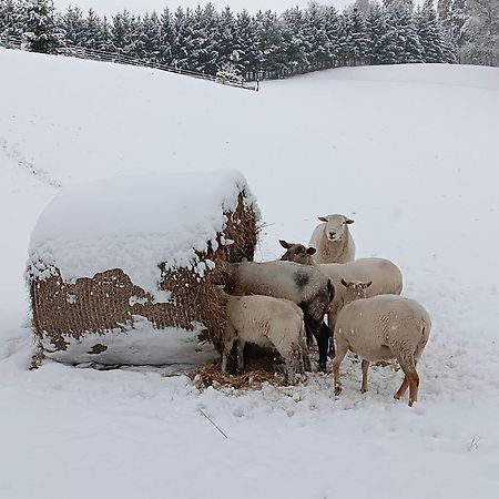 Rtyne v Podkrkonosi Ubytovani Na Vejminku المظهر الخارجي الصورة